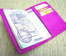 Snakeskin Passport Cover. Hot pink leather passport holder.