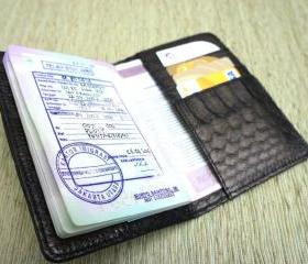  Snakeskin Passport Cover - Passport Holder - Black Leather Passport Case
